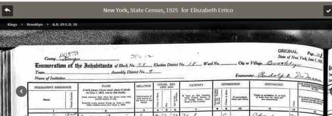 44-1925 NYS Census Errico-headers