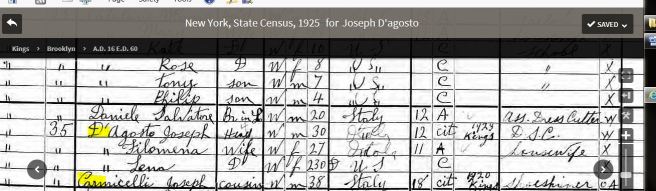 46c-1925 NYS Census Close-up D'Agosto