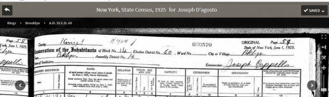 46c-1925 NYS Census Headers D'Agosto
